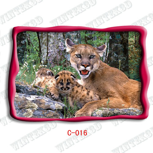 animal picture 3d postcard