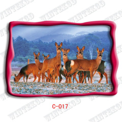 3d animal picture post card