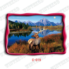 3d deer pictrue post card