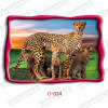 3d picture post card