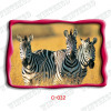 3d horse picture post card