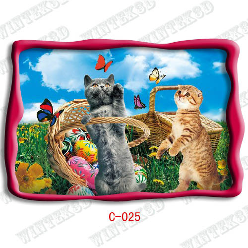 3d cat picture post card
