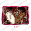3d rabbit picture post card