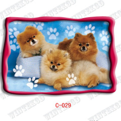 3d dog picture post cards