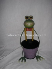 Frog W/pot