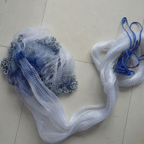 Cast Nets