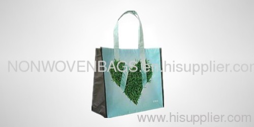 Non Woven Shopping Bags