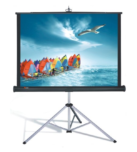 tripod screen