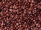 Robusta Coffee Bean