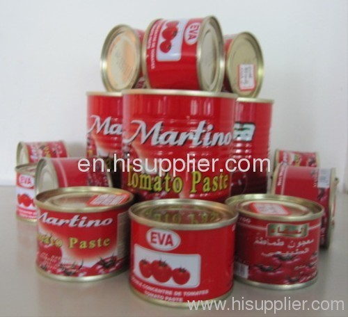 tomato paste factory canned tomato paste