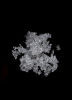 Sodium acetate