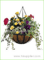 Garden Hanging Basket