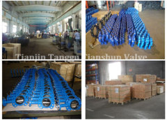 TianJin Tanggu Tianshun Valve Co.,Ltd.