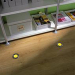 LED Floor Light