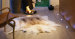 LED Floor Light