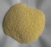 dehydrated garlic granule/dried garlic granule supplier