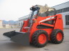 Professional Exporter of Skid Steer Loader Approved CE