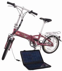folding electric bike
