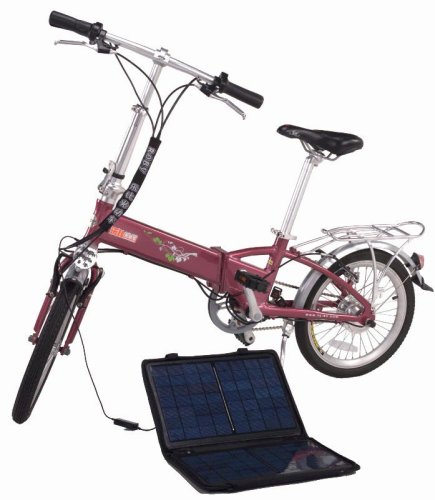 Electric Folding Bike with 180W Brush Less Hub Motor and 18kg Net Weight