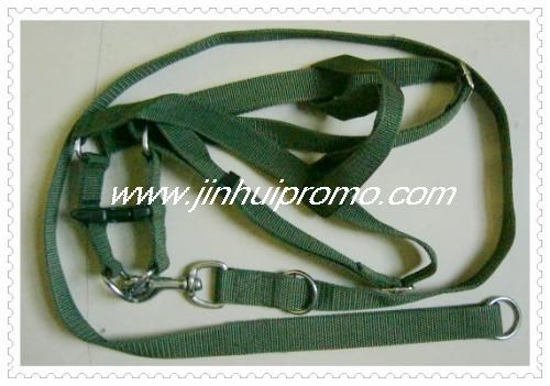 pet leash/collar