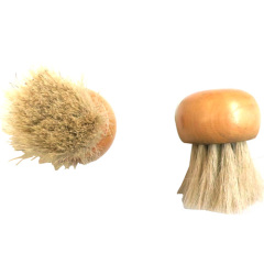 horse hair mushroom brush