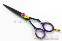 Professional Purple Titanium Plated Hair Shears