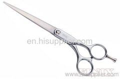 Professional Zinc-Alloy Handles Hair Dressing Scissors