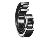 Single Row Cylindrical Roller Bearings