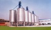 Grain steel silo with precleaner