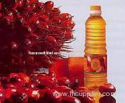 Palm Oil