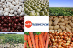 ALEC International