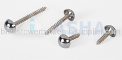 Mirror Screws