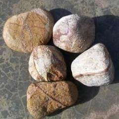 Brown Color Pebbles Stones
