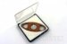 Superior Wooden Color Plastic Grip Cigar Cutters