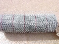 Hexagonal Weaving Wire Netting