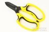 Professional Garden Pruning Shears