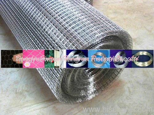 Galvanized Square Welded Wire Meshes