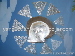 Mop shell button