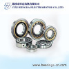 NU TYPE CYLINDRICAL BEARING