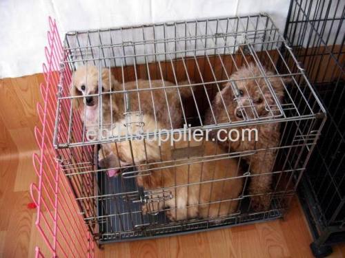 Welded Dog Cages