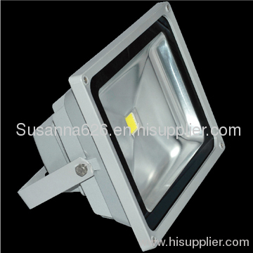 50W LED Flood Light (RAY-FL-50W)