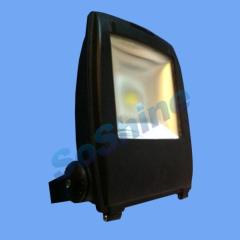 led floodlight