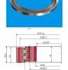 double-row ball slewing bearing with internal gear