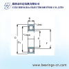 HIGH SPEED CYLINDRICAL BEARING
