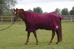 Horse Blankets