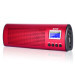 duo rechargeable Bluetooth Mini-Speaker