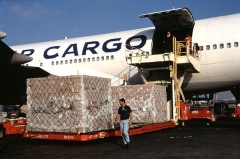 CMM Export Logistics Ltd.
