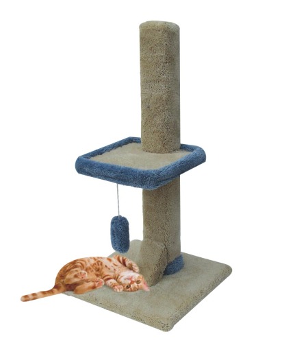 cat scratcher