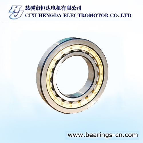 ROLLER CYLINDRICAL BEARING