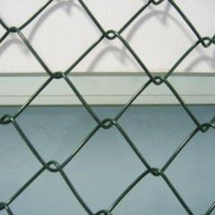 Chian link fence